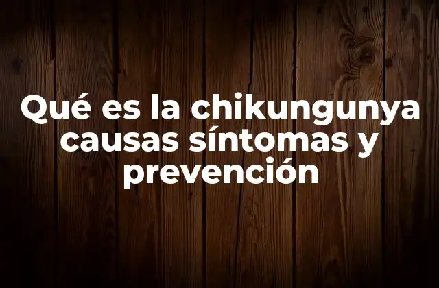 Qué es la Chikungunya Causas Síntomas y Prevención