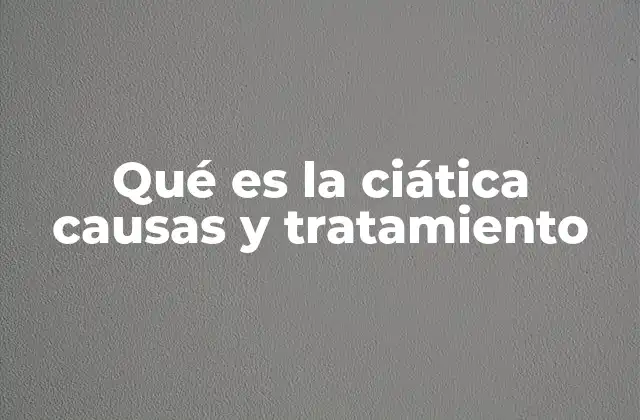 Qué es la Ciática Causas y Tratamiento 2 Entendiendo el funcionamiento del nervio ciático