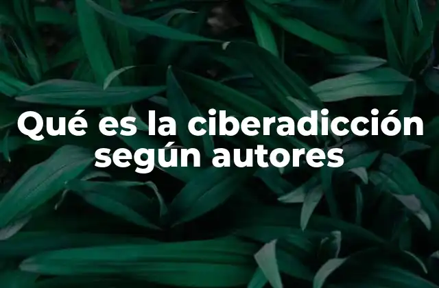 Qué es la Ciberadicción según Autores