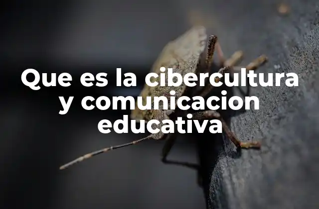 Que es la Cibercultura y Comunicacion Educativa