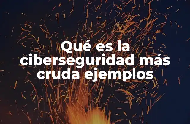 Qué es la Ciberseguridad Más Cruda Ejemplos