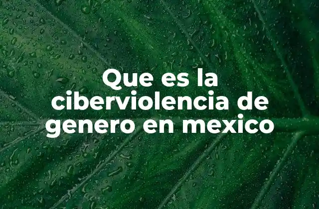Que es la Ciberviolencia de Genero en Mexico