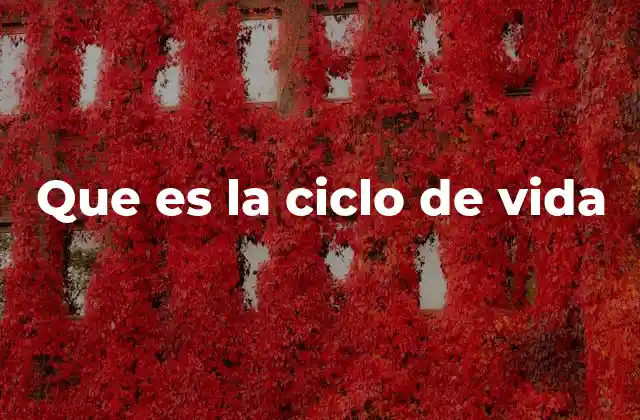 Que es la Ciclo de Vida