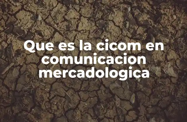 Que es la Cicom en Comunicacion Mercadologica 2 La importancia de la integración en la comunicación empresarial