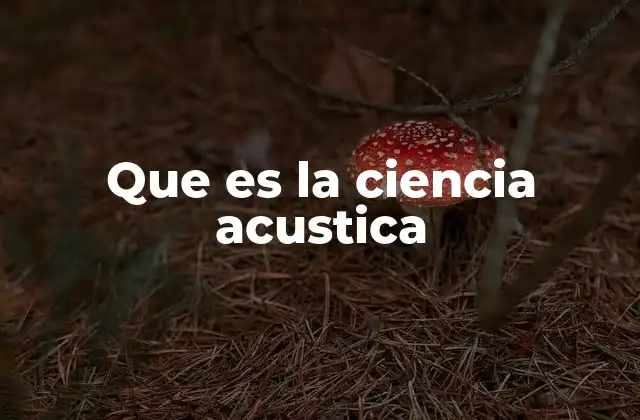 Que es la Ciencia Acustica 2 El sonido como fenómeno físico