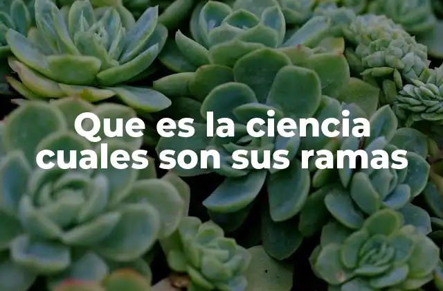 Que es la Ciencia Cuales Son Sus Ramas