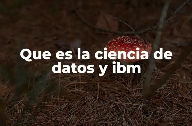 Que es la Ciencia de Datos y Ibm 2 La alianza entre tecnología y análisis de datos