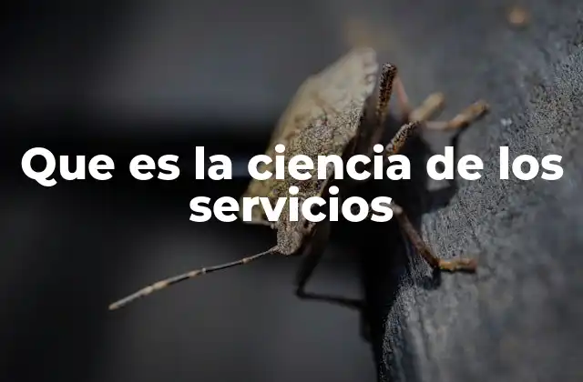Que es la Ciencia de los Servicios