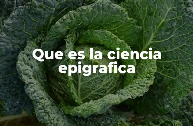 Que es la Ciencia Epigrafica