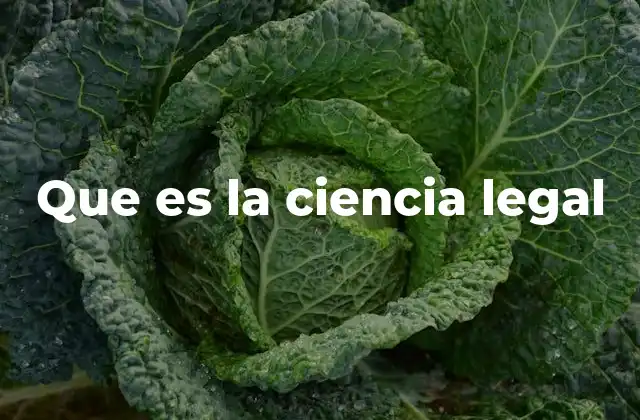 Que es la Ciencia Legal 2 El derecho en la era digital