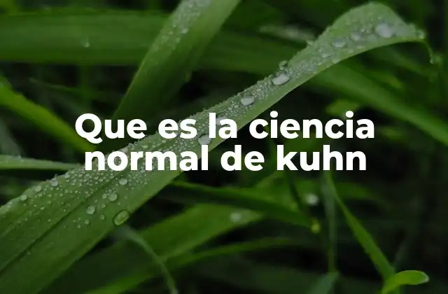 Que es la Ciencia Normal de Kuhn