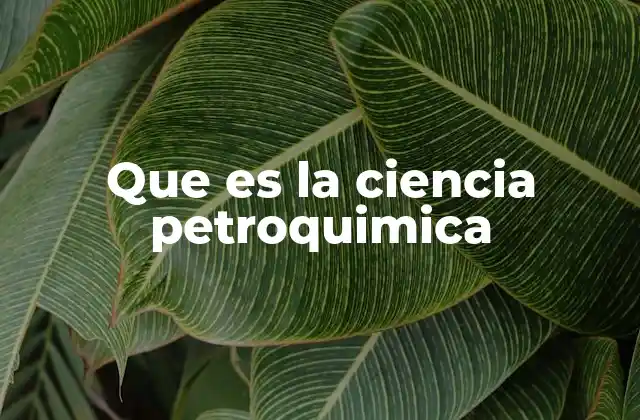 Que es la Ciencia Petroquimica