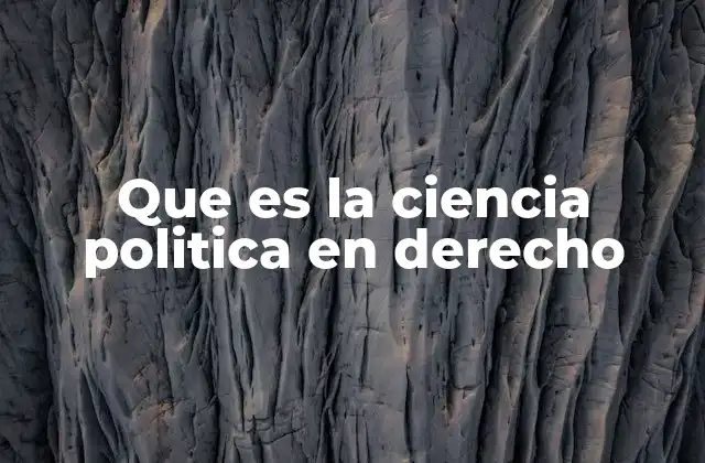 Que es la Ciencia Politica en Derecho