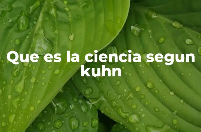 Que es la Ciencia Segun Kuhn