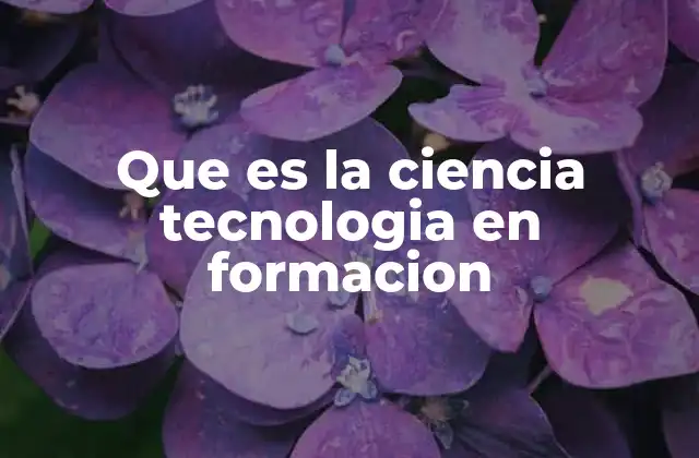 Que es la Ciencia Tecnologia en Formacion
