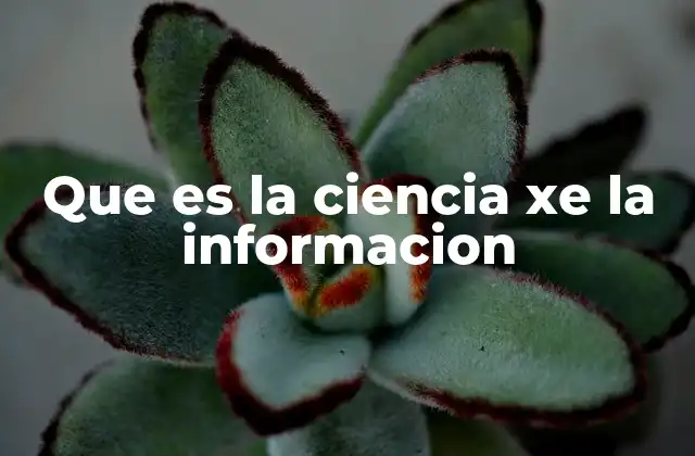 Que es la Ciencia Xe la Informacion