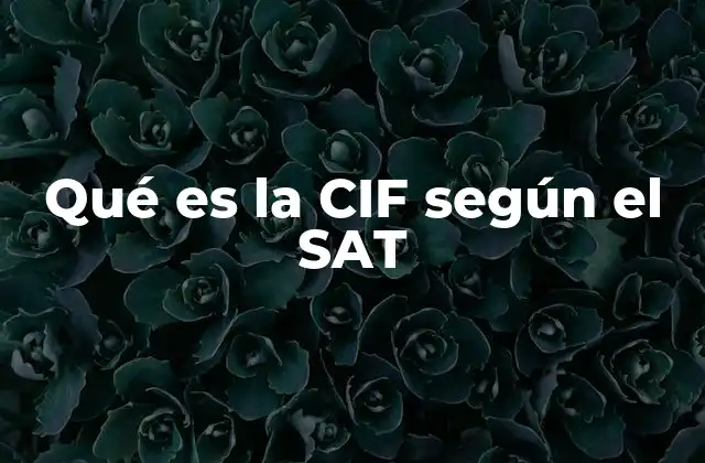 Qué es la Cif según el Sat