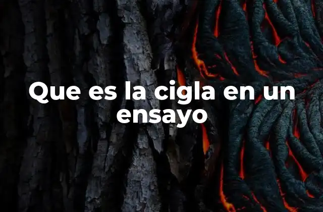 Que es la Cigla en un Ensayo
