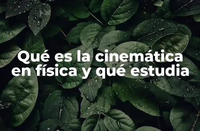 Qué es la Cinemática en Física y Qué Estudia