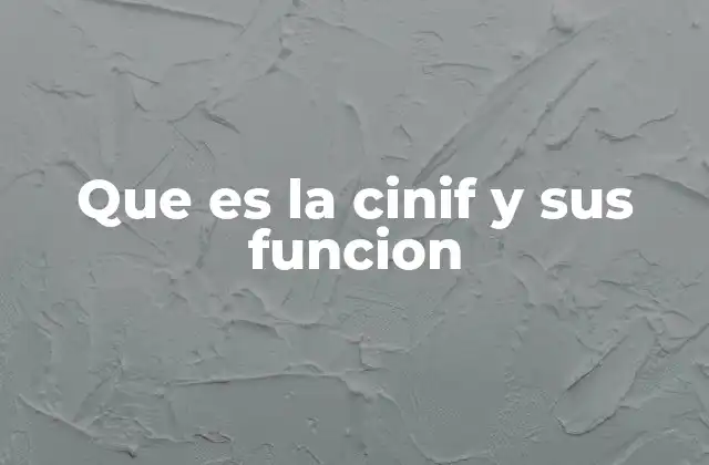 Que es la Cinif y Sus Funcion 2 El rol de la CINIF en el ecosistema financiero mexicano