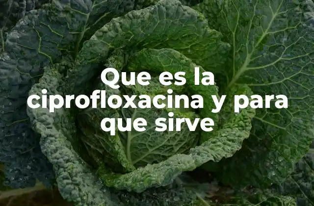 Que es la Ciprofloxacina y para que Sirve