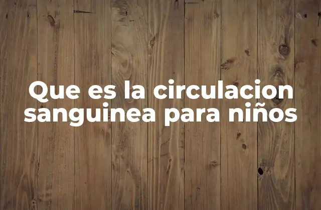Cómo funciona el sistema circulatorio en los niños