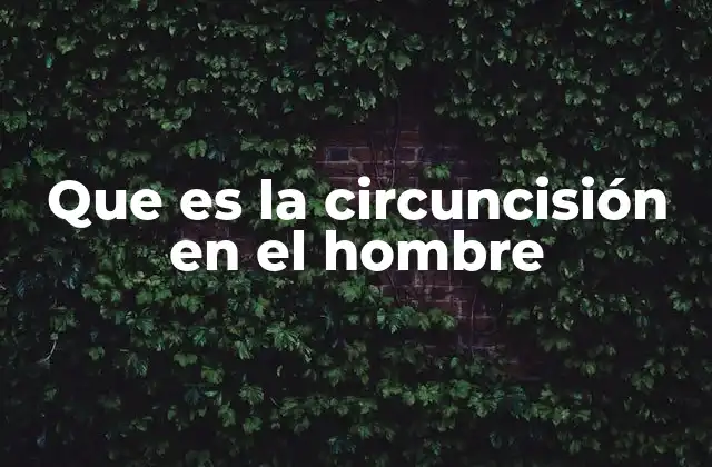 Que es la Circuncisión en el Hombre 2 La importancia de la higiene en el contexto de la circuncisión
