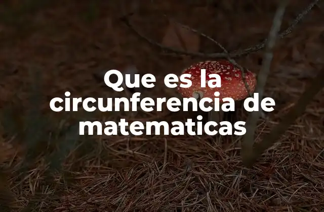 Que es la Circunferencia de Matematicas 2 La importancia de la circunferencia en la geometría