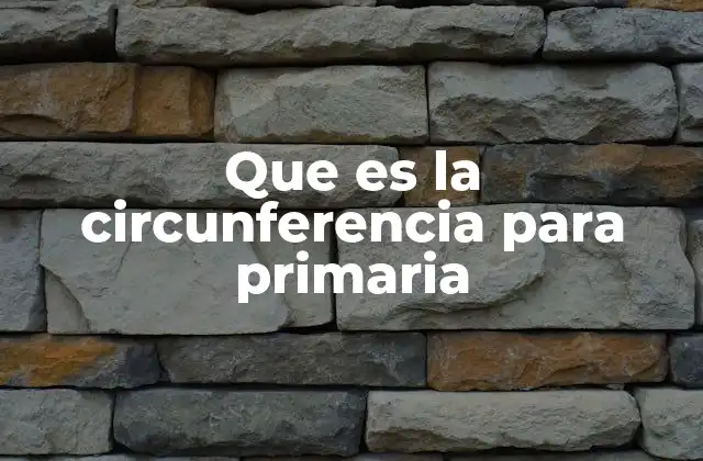 Que es la Circunferencia para Primaria