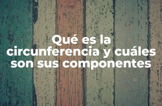 Elementos esenciales de una figura geométrica curva