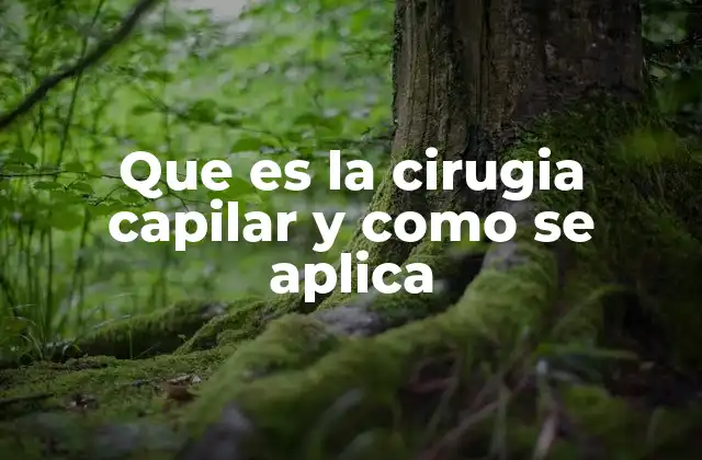 Cómo se prepara un paciente para la cirugía capilar