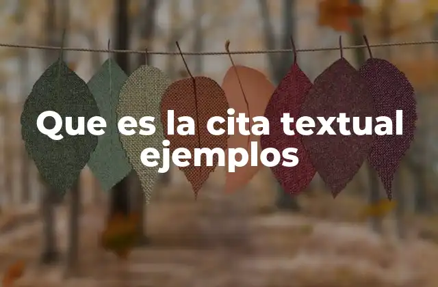 Que es la Cita Textual Ejemplos