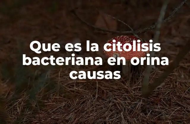 Factores que pueden llevar a la citolisis bacteriana en orina