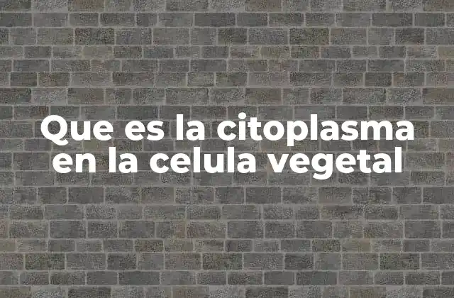 La importancia de la citoplasma en la estructura celular vegetal