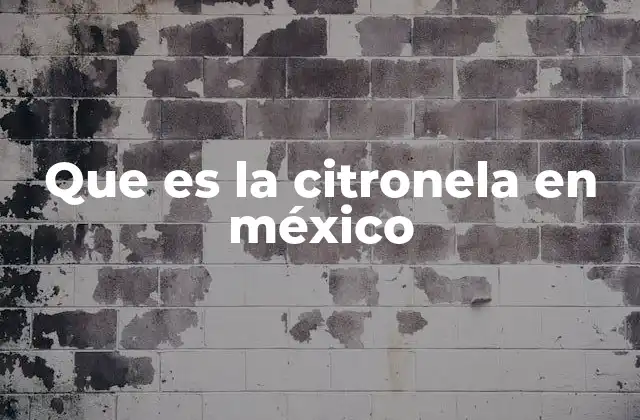 Que es la Citronela en México 2 La importancia de la citronela en la cultura mexicana