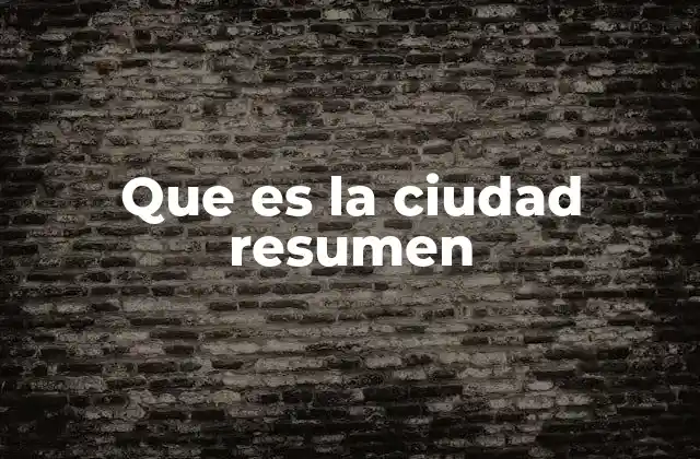 Que es la Ciudad Resumen
