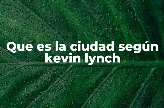 Que es la Ciudad según Kevin Lynch