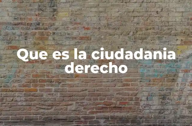Que es la Ciudadania Derecho