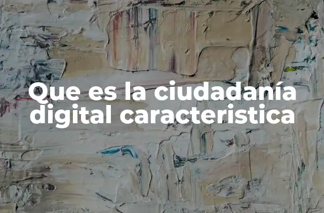 Que es la Ciudadanía Digital Caracteristica