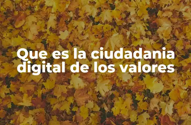 Que es la Ciudadania Digital de los Valores 2 La responsabilidad en el mundo digital