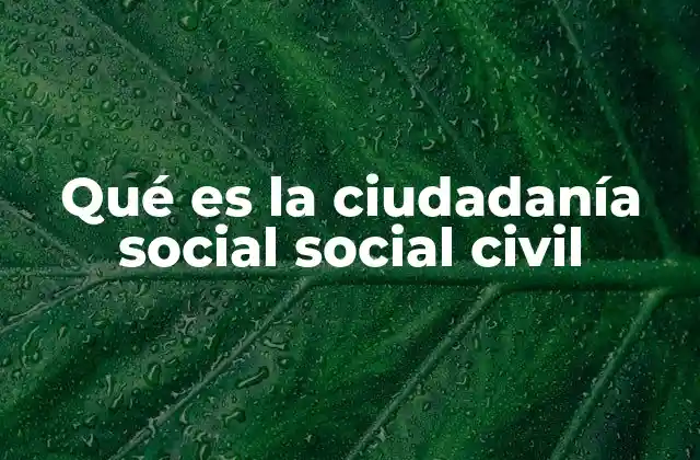 Qué es la Ciudadanía Social Social Civil