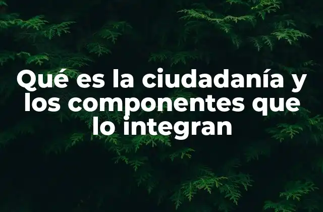 La relación entre ciudadanía y el Estado