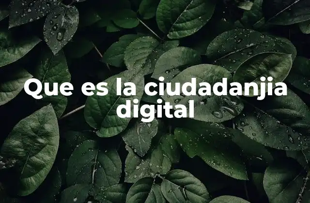Que es la Ciudadanjia Digital