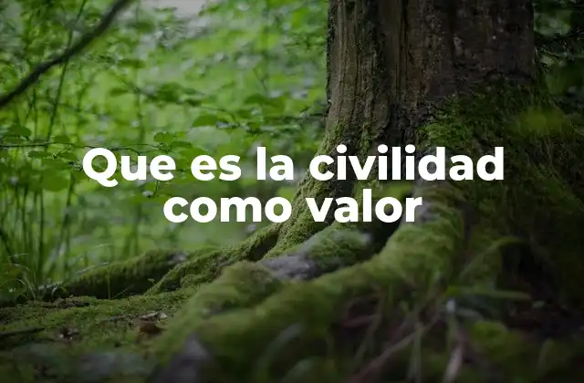 Que es la Civilidad como Valor