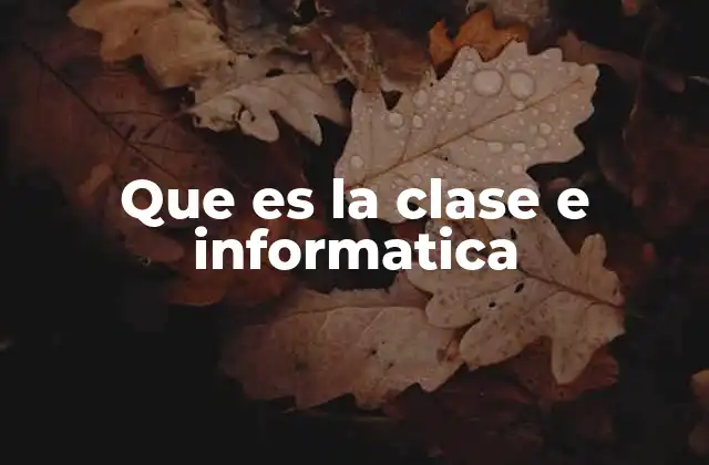 Que es la Clase e Informatica