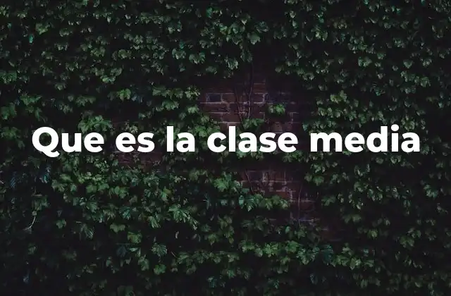 Que es la Clase Media