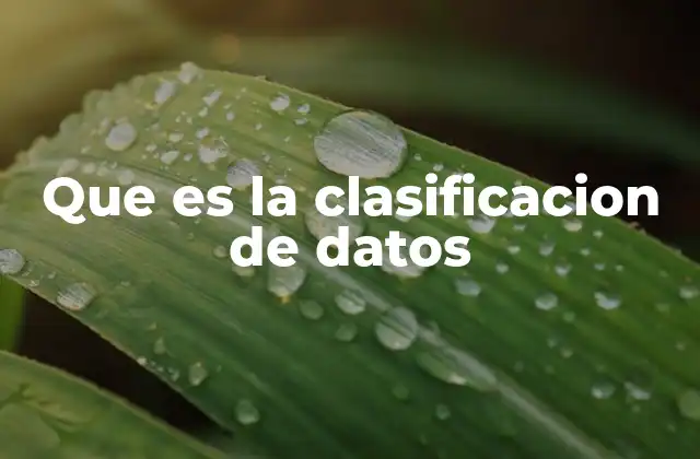 Que es la Clasificacion de Datos