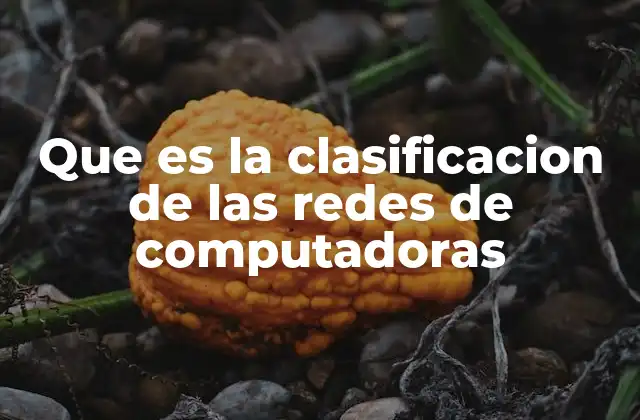 Que es la Clasificacion de las Redes de Computadoras