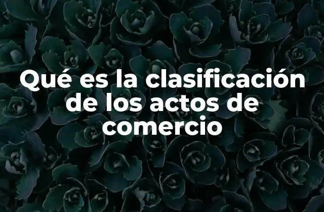 Qué es la Clasificación de los Actos de Comercio