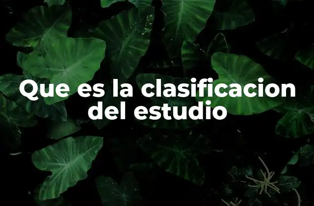 Que es la Clasificacion Del Estudio